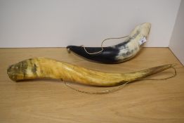 Two ornamental horns, the largest measures 55cm long