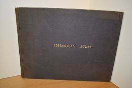 Natural History. [Brehm, Alfred Edmund] - Zoological Atlas. Published by T. Ruddiman Johnston,