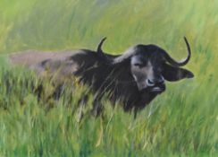 Myra Daly (20th Century, British), oil on canvas, 'Water Buffalo', signed to the lower right,
