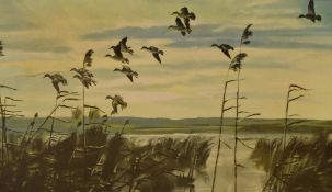 After Sir Peter Markham Scott (1909-1989, British), coloured print, 'Teal on a Grey Morning', framed