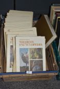 Nineteen volumes of The International Wildlife Encyclopedia published by B.P.C Publishing Limited