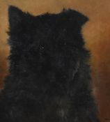 19th/20th Century British School, oil on canvas, A portrait of a mongrel dog, signed '...viot'
