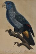 After Jacques Barraband (1767-1809, French), coloured prints, Two illustrations of tropical