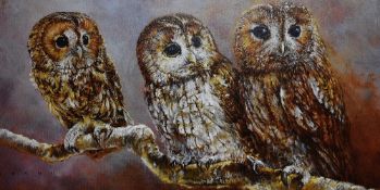 20th Century, coloured print, Tawny Owl, signed indistinctly 'Crane' to the lower right, limited