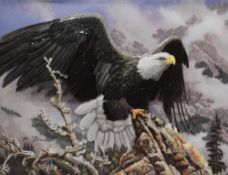 Susan Isaacs (20th Century), sculptograph/decoupage, A bald eagle, framed, mounted, and under glass,