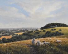 David Morgan (b.1947, British), oil on canvas, An attractive pastoral landscape with sheep grazing