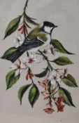 John Crank (1923-2008, British), watercolour/gouache, 'Great Tit & Weigela', signed to the lower