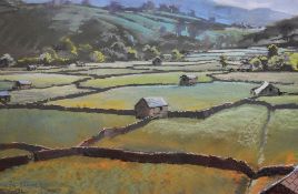 Christopher Assheton-Stones (1947-1999, British), pastel, 'Swaledale Pastures', a colourful