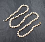 A single row of cultured pearls, having a white to cream lustre with a 14ct hook clasp,