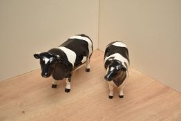 A Beswick Pottery Friesian bull and cow, Champion Coddington Hilt Bar 1439a designed by Arthur