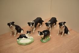 Two Border Fine Arts The James Herriot Country Kitchen Collection Collie studies, numbers A6580