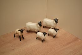 Two Beswick Pottery black-faced Sheep studies number 1765 together with three blacked-faced Lambs,