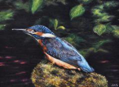 J.A. Soames (20th Century, British), oil on canvas, 'A Kingfisher on the Lookout', an attractive