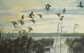 After Sir Peter Markham Scott (1909-1989, British), coloured print, 'Teal on a Grey Morning', framed