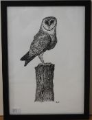 Neale Holden (20th Century, British), pen and ink, Five sketches of owl species, all framed and