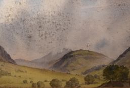 *Local Interest - David O.P.M. Harrison (20th Century, British), watercolour, A Lake District