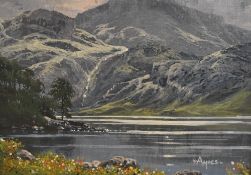 *Local Interest - Donald Ayres (20th Century, British), oil on canvas, 'Blea Tarn', Lake District,