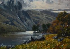 *Local Interest - Donald Ayres (20th Century, British), oil on canvas, 'Raven Crag, Thirlmere',