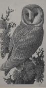 After Charles Frederick Tunnicliffe (1901-1979, British), wood-engraving, 'No.5 Barn Owl', signed to