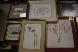 A watercolour depicting poppies signed Catherine W Dowse an another similar by the same artist the
