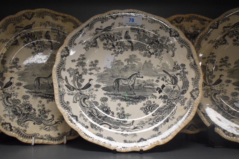Five John Meigh & Son Staffordshire plates in the 'Zoological Sketches' design, each with a diameter - Image 2 of 5