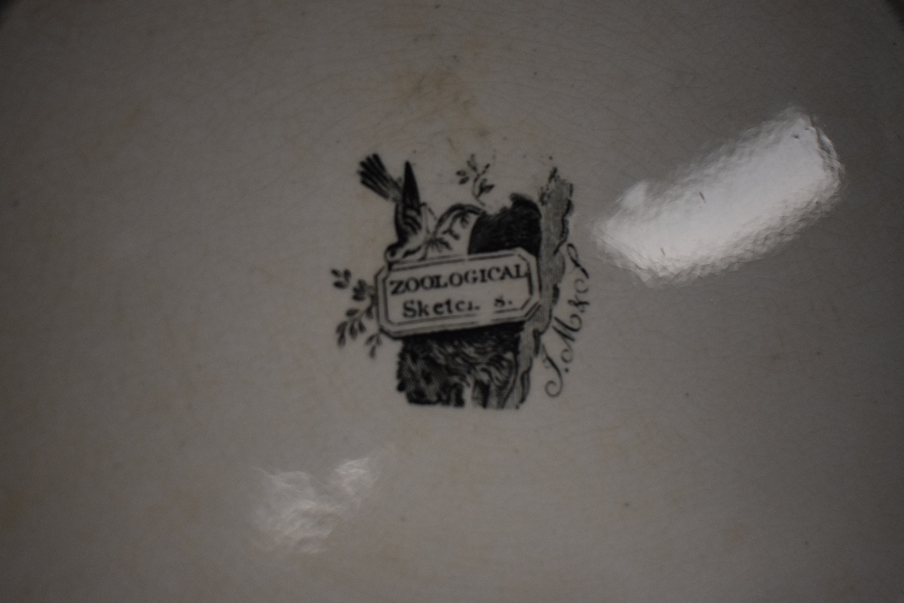 Five John Meigh & Son Staffordshire plates in the 'Zoological Sketches' design, each with a diameter - Image 3 of 5
