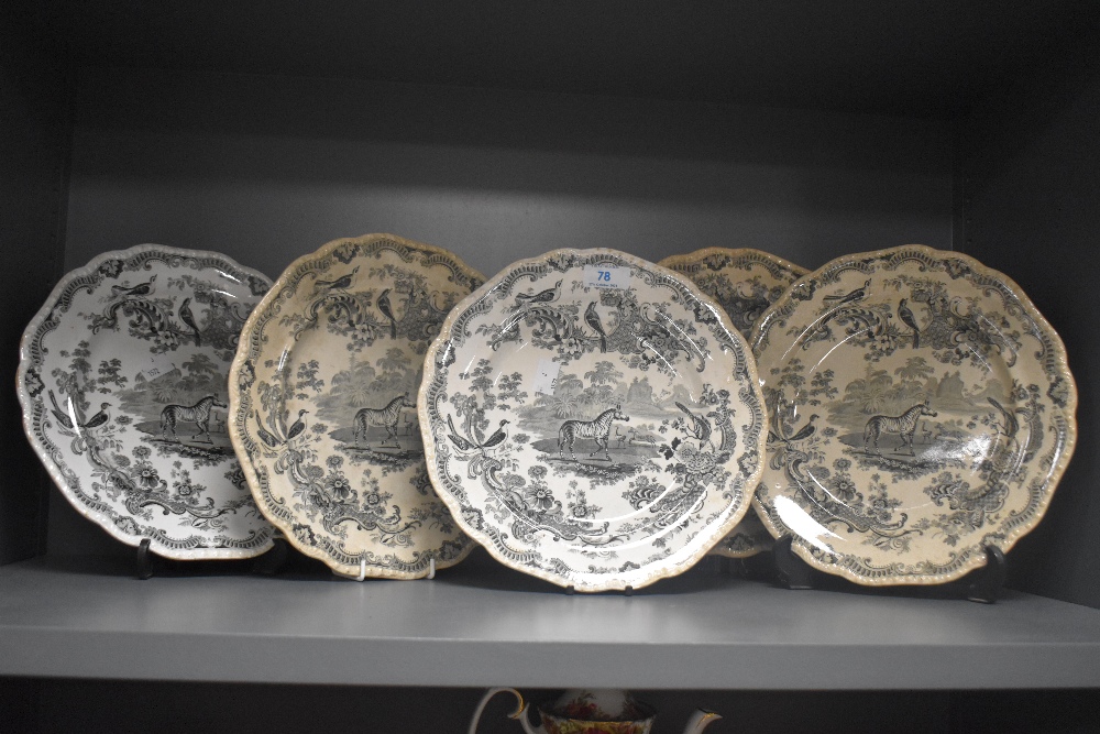 Five John Meigh & Son Staffordshire plates in the 'Zoological Sketches' design, each with a diameter