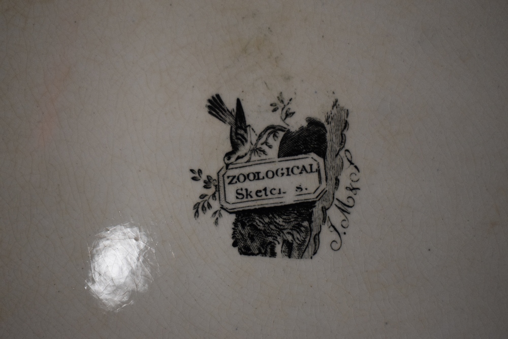 Five John Meigh & Son Staffordshire plates in the 'Zoological Sketches' design, each with a diameter - Image 5 of 5