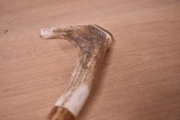 A hazel walking stick with antler handle, length approx. 125cm