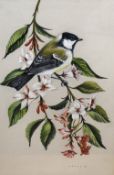 John Crank (1923-2008, British), watercolour/gouache, 'Great Tit & Weigela', signed to the lower