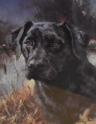 After Mick Cawston (British 1959-2006) limited edition colour print of a black Labrador, signed