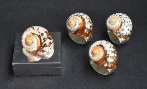 A Hans Turnwald silver plated trinket box, of hinged square form mounted with a turbo sarmaticus