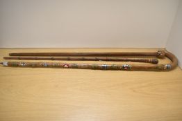 Three walking sticks, one having emblems for eastern Europe attached from top to bottom.