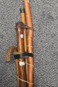 A shepherd's crook with horn handled grip and stained wood shaft, measuring 140cm tall, and four