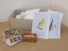 CIGARETTE & TRADE CARDS COLLECTION IN SHOE BOX INC. CAPERNS BIRDS, CARRERAS, WILLS ETC Old shoe