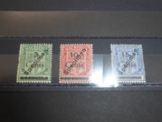 MAURITIUS 1925 SET OF 3 SURCHARGED VALUES OPTD SPECIMEN (SG 242s/44s) MNH Trio of surcharged and