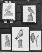 Neale Holden (20th Century, British), pen and ink, Five sketches of owl species, all framed and