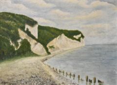 20th Century School, oil on canvas, A coastal landscape with chalkstone cliffs, signed