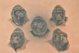 Thought to be Peter Jepson (British b.1936), contemporary, watercolour on card, five gorilla head
