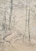Arthur Creed Hambley (British 1900-1973) pencil drawing, woodland path, signed lower off centre in