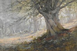 L Chappell, painted woodland scene, a large tree dominates the composition with atmospheric light