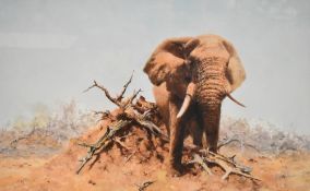 Richard Sefton After David Shepherd CBE, FRSA, FGRA (British 1931-2017) 'The Gentle Giant' a limited