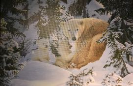 After Steven Townsend (British b.1955) 'Warmth of Nature' a large limited edition colour giclee