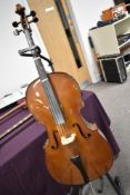 A traditional Cello , Stentor label, on stand