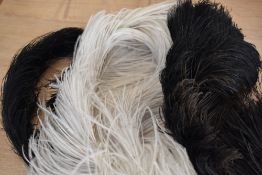 A box of twelve early 20th century dancers ostrich feather plumes and a black circular feathered