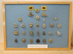 A collection of the 11th Armoured Division 1941-46 & 1950-1956 Cap badges, 26 in total along with