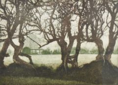 After T.A Davidson (20th century) a limited edition print, Misty Morn, signed and dated (19)87,
