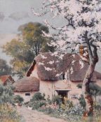 John McDougal (British, 1851-1945) This watercolour painting dated 1919, shows a blossoming tree