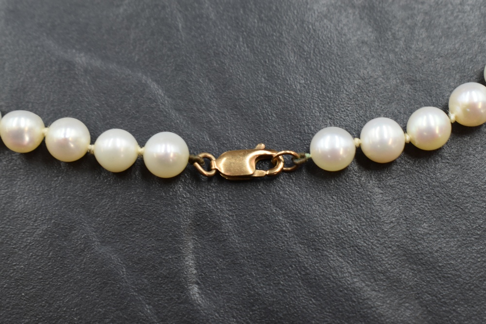 A single row of cultured pearls, having a white to pink lustre with a 9ct hook clasp, - Image 2 of 2