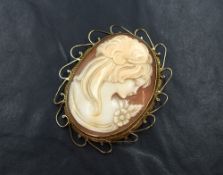 A large conch shell cameo brooch depicting a maiden in profile within a 9ct gold decorative collared
